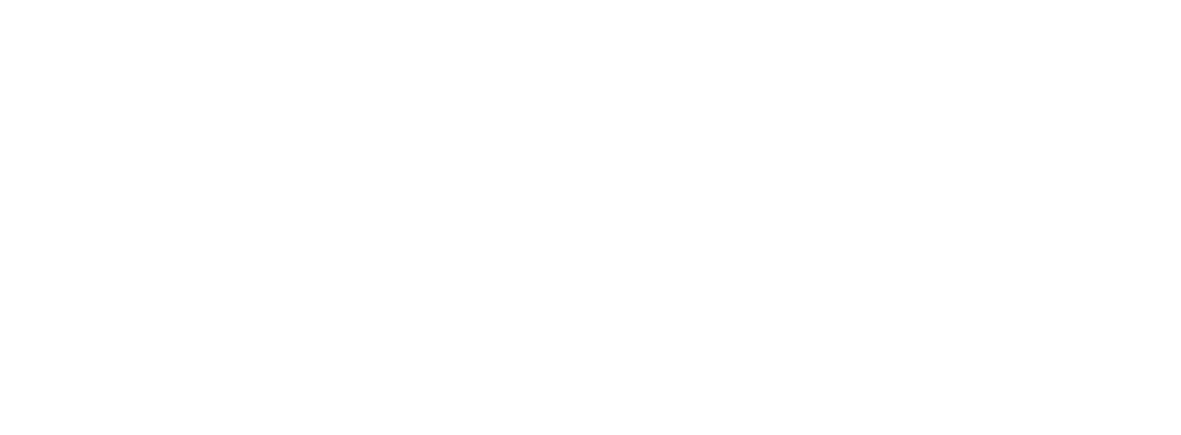 Google AI API